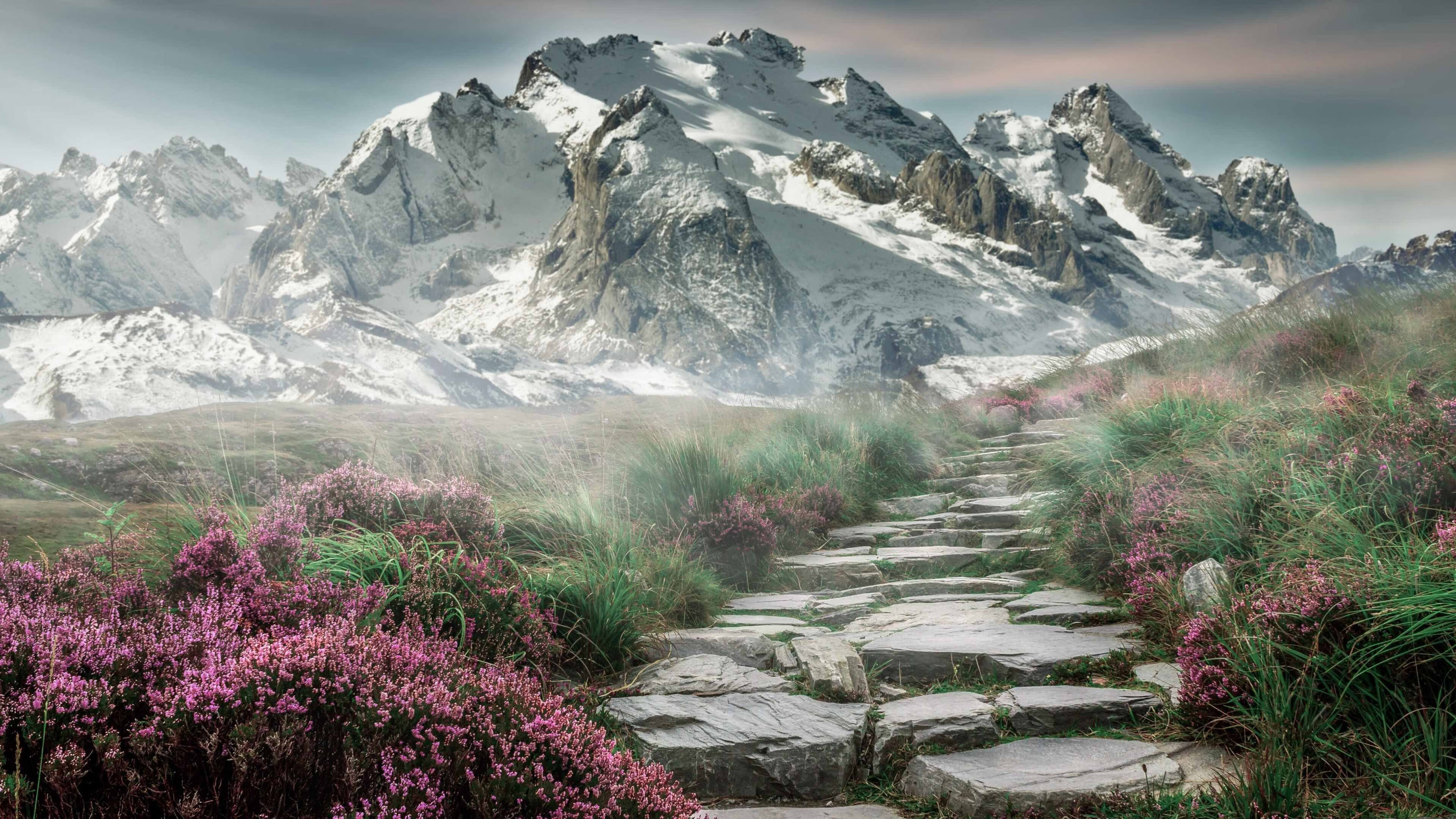 巴黎圣日耳曼大胜多特,士气空前,巴黎圣日耳曼队官网