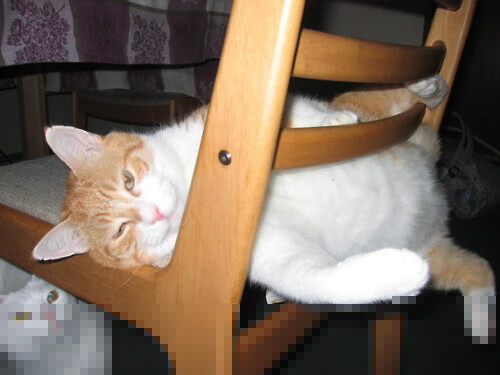 传统与创新结合：新一代教练带来的战术变革，传统型领导和教练型领导区别