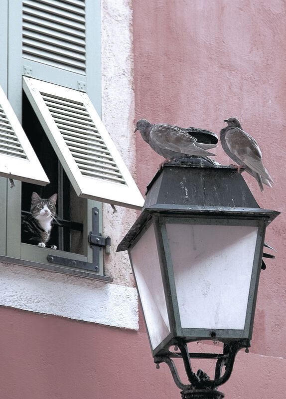 利物浦中场大师续写传奇，关键比赛屡建奇功，利物浦历史十大中场